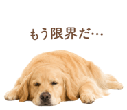843214220