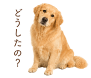 843214223