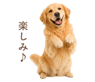 843214225