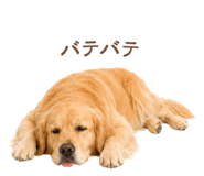 843214228