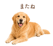 843214232