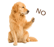 843214234
