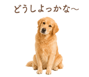 843214235