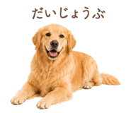 843214236