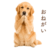 843214238