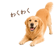 843214240