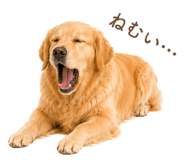 843214244