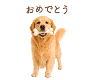 843214245