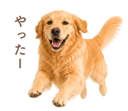 843214248