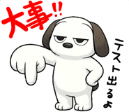 843214304