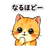 843214375