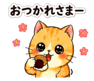 843214377