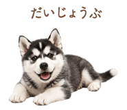 843214420