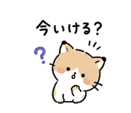 843214641