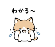 843214648