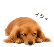843214723