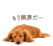 843214724