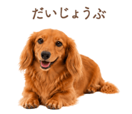 843214740