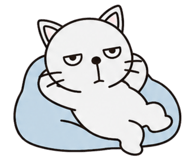 843215349