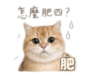843215585