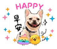 843216053