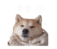 843216409
