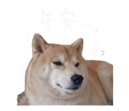 843216410