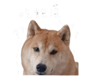 843216411