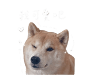 843216414