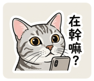 843216506