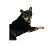 843216830