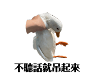 843216891