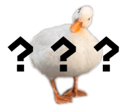 843216894