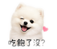 843217001