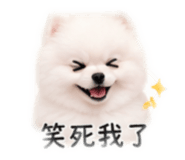 843217002
