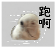 843217263