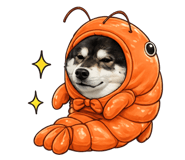 843217953