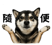 843217961