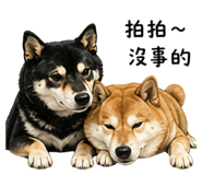 843217989