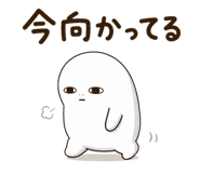 843219593