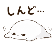 843219613