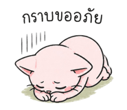 843220503