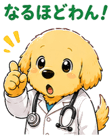 843221095