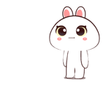 843221341