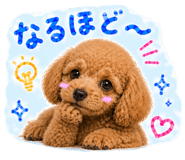 843221894