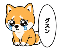 843222042