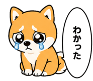 843222067
