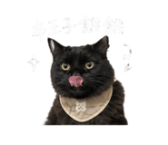 843222713