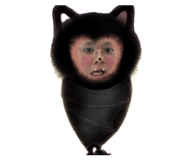 843222793