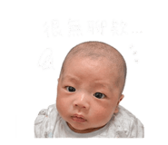 843223036